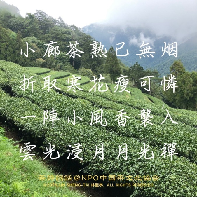 茶詩詞話〜「揚州八怪」鄭板橋の茶詩に映る、茶と花と月の禅的ひととき】