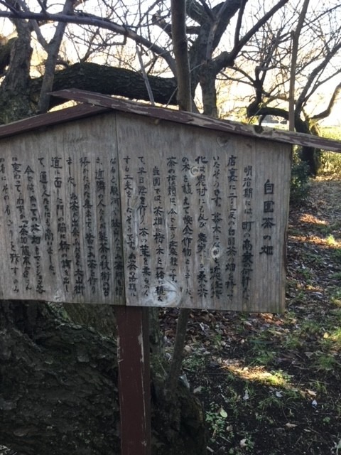 伊勢原市　山口家住宅