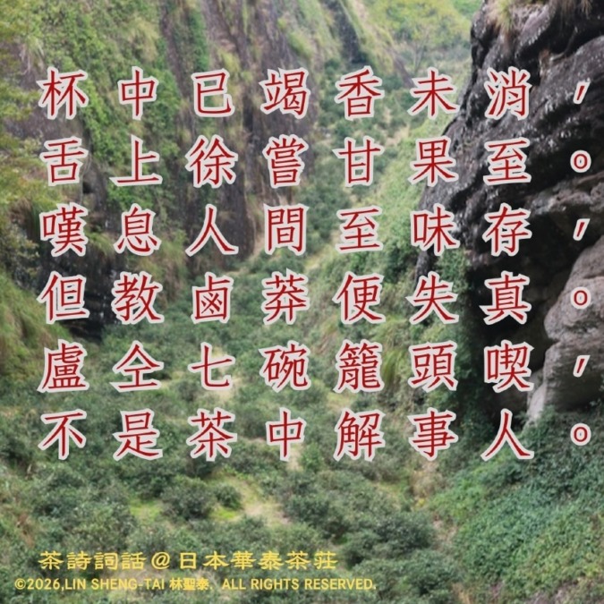 清代・袁枚に学ぶ――「烏龍工夫茶」が語る、回甘と余韻の美学