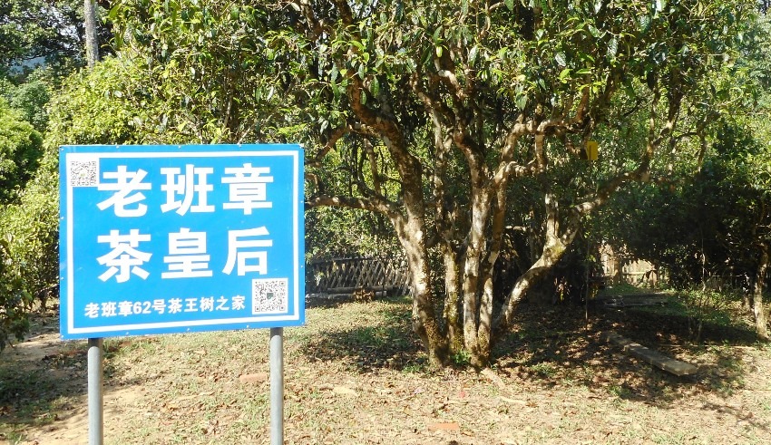 健康な土壌とは？